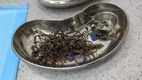 Vets for Pets A metallic dish filled with hair bands and surgical tools