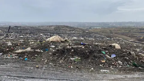 LDRS Waste strewn across a landfill site on a cloudy day.