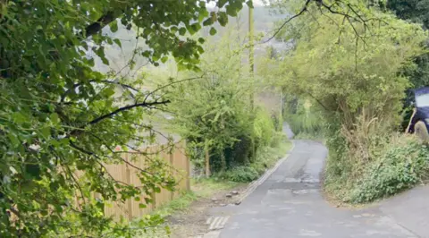 A semi-rural one-track road with green bushes along the side
