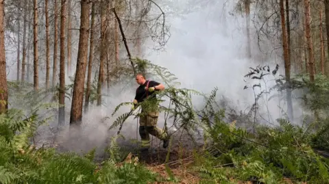 Bedfordshire Fire and Rescue Service The forest floor is covered with dense green ferns, fallen branches, pine needles, and other undergrowth. A large amount of white-gray smoke fills the middle and background of the scene, partially obscuring the trees.
