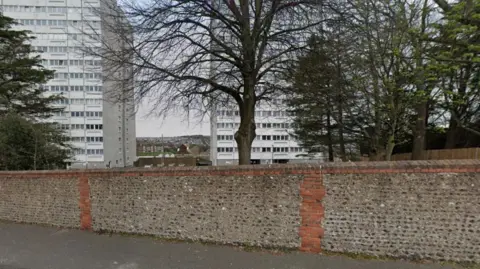 A google map street view of Dudeney Court in Hollingdean