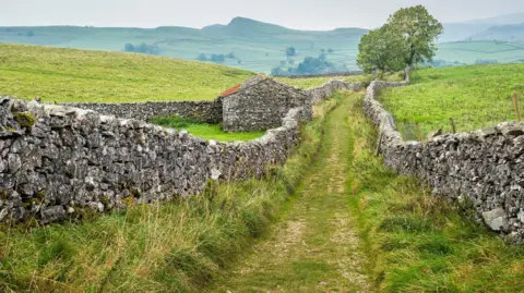 Getty Images A view across rolling countryside, with grassy hills in the distance. The countryside is divided by dry stone walls, rocky structures made up of stones of various sizes. 