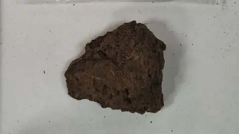 York Archaeological Trust A small poo that looks like a hard clump of soil