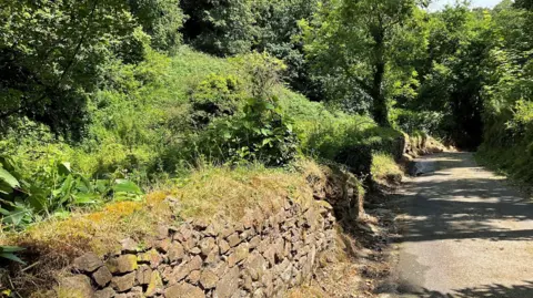 A narrow country lane within dense greenery. On both sides of the path, there are trees and bushes. There is an old stone wall with moss and grass on top of it.