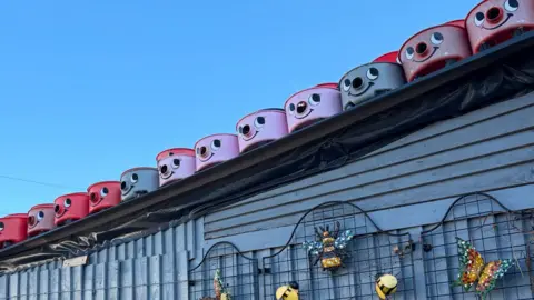 Henry Hoovers on a roof