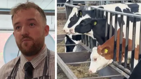 A composite image, with one side showing the farmer speaking to camera, and the other showing cows on the farm
