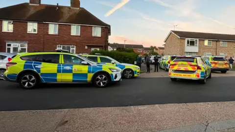 James Gardner About five police cars parked at an address in Chelmsford in Essex. They are parked by the side of a road and there are houses in the back.