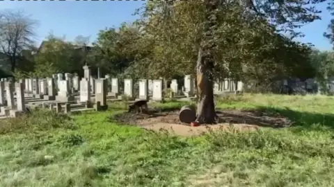 Freedom Angels Romania A graveyard with large grey headstones and a tree towards the front of the scene. There is an oil barrel on its side under it and a dog to the side.