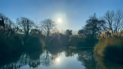 Early Bird A river reflected in the sunshine in this photo with plenty of trees surrounding the frame.