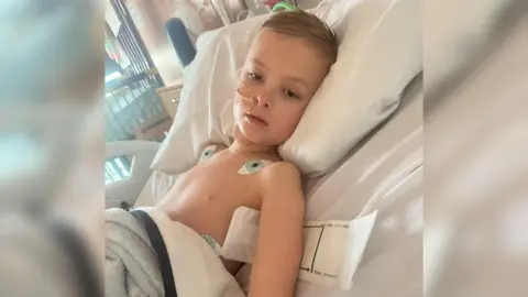 Handout Freddie is shown in his hospital bed, his eyes are open and he is looking towards the camera with a tube in his nose.