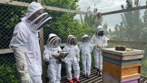 Beekeeping project at Ernesettle Community School