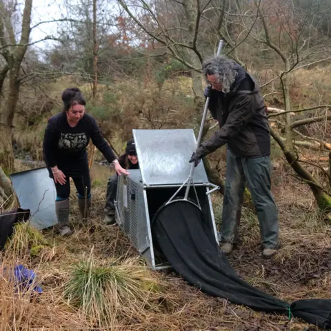 National Trust Wallington rangers (Emily, back) and lead ranger Helen (front) with Roisin from Beaver Trust. Helen is holding a large net in front of a large metal trap.