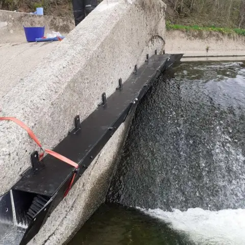 Scottish Water Eel Pass