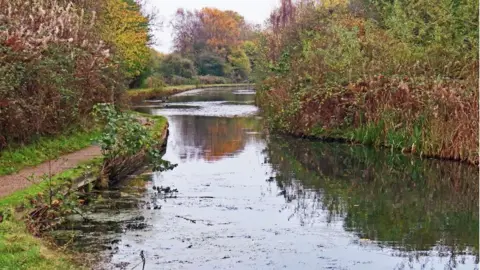 Ian Hughes A path sits on the left hand side of a canal with autumnal trees in the background. Ducks are swimming in the distance.