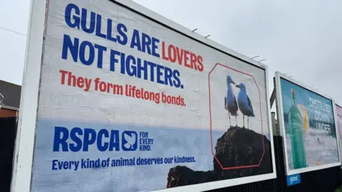 A billboard advertisement stating: "Gulls are lovers, not fighters. They form lifelong bonds. RSPCA; for every kind. Every kind of animal deserves our kindness."