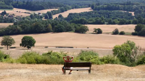 A shirtless man sitting on a wooden bench looking out across fields that are golden with dead grass.