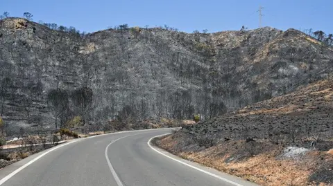 View of the burnt land after the Los Gallardos fire in Beda village, Almeria, southern Spain.