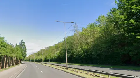 A four lane motorway with lamp poles, a centre barrier and leafy green trees lining both verges. It is a sunny blue sky day 
