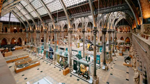 Fisher Studios and Museum of Natural History, University of Oxford A view of the interior of the Museum of Natural History. Thousands of specimens are on show.
