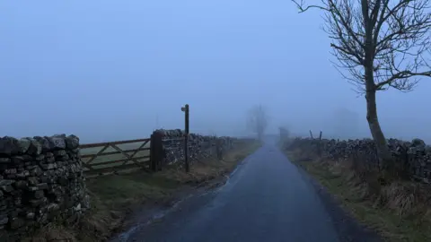 Toby the Gardener/ Weather Watchers View down a deserted country lane. Dry stone walls line either side of the single track road, with two trees visible. The sky is cloudy and there is a light mist creating a dim light