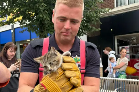 Supplied Firefighter Bruce Mason holding the rescued kitten in his hands.