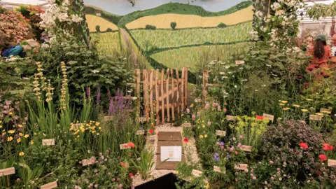 Ollie Dixon A pretty display of wildflowers at a show.