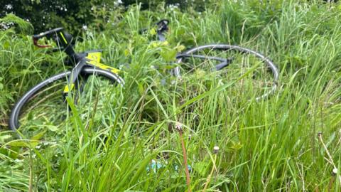A bike lying in deep grass by the side of the road