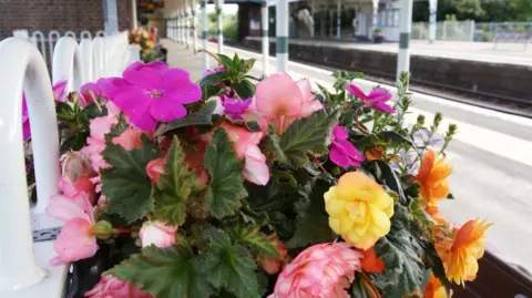 Govia Thameslink Railway A plant blooming at Arundel station