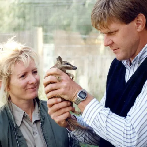 Courtesy Perth Zoo Vicki Power with Tony Friend, who is holding a numbat in his hands at the Perth Zoo in the 1980s