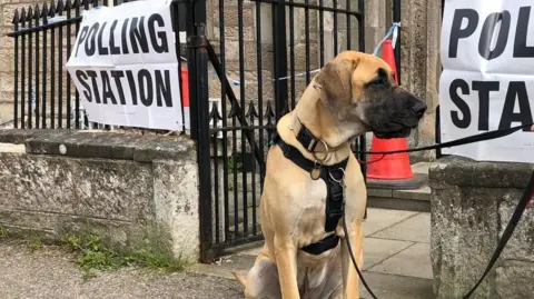  Graeme MacGregor A great dane dog sits in the entranceway to a polling station at a church in Nairn, Scotland.