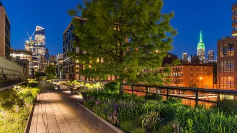 Jersey Development Company A well-lit walkway is shown at dusk, with trees and buildings to the right and in the background 