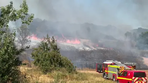 A large area on fire. The grassland is fire-damaged and there are two fire appliances on the right. 