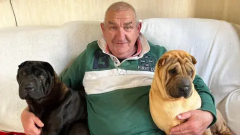 Rachel Hargreaves John Hargreaves, who has thin grey hair and is wearing a green polo-neck top with a white stripe, sits on a sofa with two neopolitan mastiff style dogs under each arm - one black and one cream-coloured. 