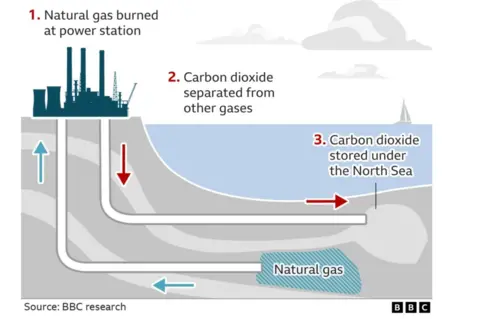 A graphic showing how carbon capture technology works. It shows the silhouette of a power station in the top left of the image with pipes leading under the sea. Blue arrows show how natural gas goes up one pipe to the power station. Red arrows show how carbon dioxide is transferred from the power station to a cavern under the sea. Captions read: 1) Natural gas burned at power station; 2) Carbon dioxide separated from other gases; 3) Carbon dioxide stored under the North Sea.