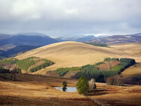 Eric Niven A stunning view across the countryside of tree plantations and a pool of water looking out across a hilly range