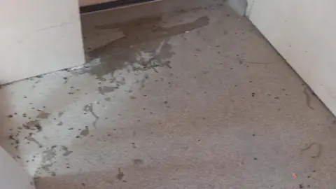 Local Democracy Reporting Service The floor of a block flats is covered in a liquid and lots of maggots on the floor.