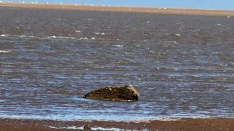 Cleethorpes Wildlife Rescue A large rock in water in the sea, with the beach in the foreground.