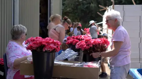 BBC Two women standing either side of buckets full of pink flowers and a box containing more flowers next to a corrugated shed building with more people sorting flowers visitble in the background