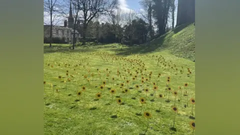 Hospice at Home West Cumbria Hundreds of metalwork sunflowers planted in a grassed area leading, with a number of trees and a church with a high spire in the background.