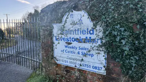 A sign on a brick wall reads Saintfield Livestock Mart. Weekly Sales of Cattle & Sheep. Two phone numbers are provided. The sign is white and the lettering and border are dark blue. Leaves are growing over the wall. A closed gate is next to the sign.