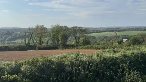 There is a green hedge in the foreground and then a ploughed field looking across to trees and fields as far as the eye can see