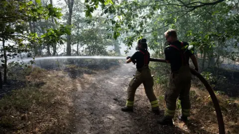 Two firefighters aim a hose jet at smouldering woodland