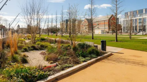 The completed Queen's Gardens in Hull. There are newly planted shrubs, flowers and trees, with freshly-laid paving. Apartments are in the distance.