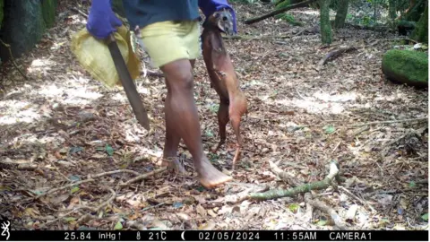 Julian Baylis hunter in Mabu forest