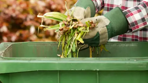 A person with gloves on handles garden fauna over a green bin outdoors. They have a red checked shirt on and green and white gloves on.