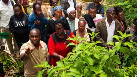 A man points to a tree with other people gathered around him.