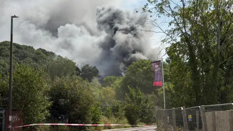 Large plumes of grey and black smoke appear over green trees