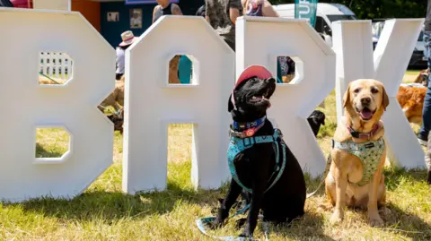 two dogs sat in front of a sign which says BARK