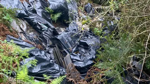 Cornwall Council Close up of black bags containing building waste which have been dumped in Cornwall. Green foliage and brown twigs are surrounding the large black bags. 