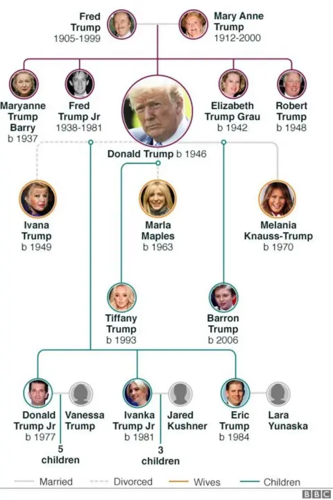 Family tree graphic